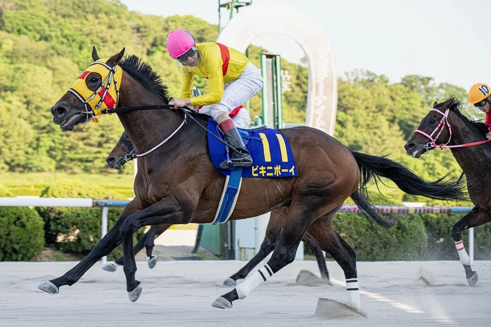 【佐賀競馬】第9回 佐賀スプリングカップ（2026.5.10）